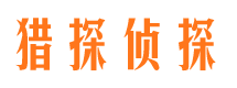 禅城市调查公司